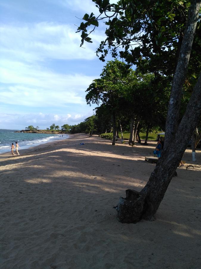 Coco Bungalows Sainte-Rose Extérieur photo