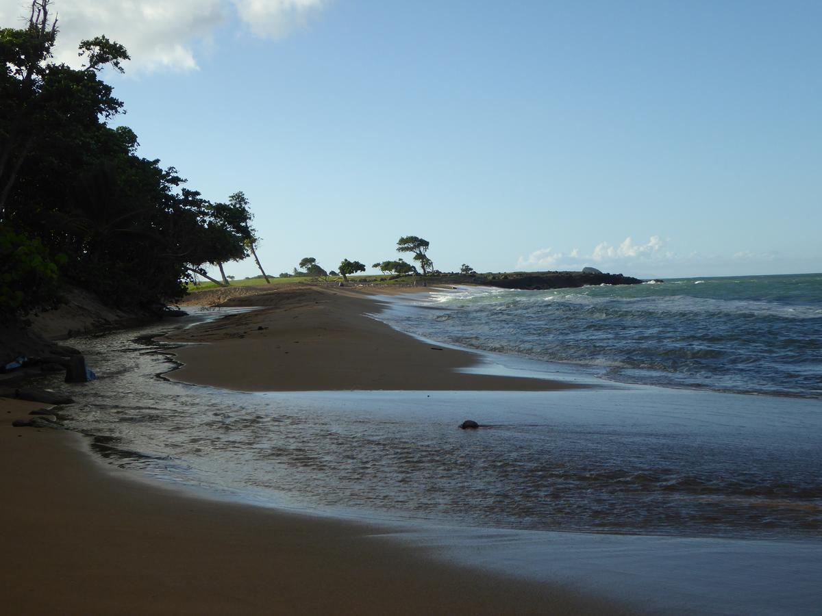 Coco Bungalows Sainte-Rose Extérieur photo