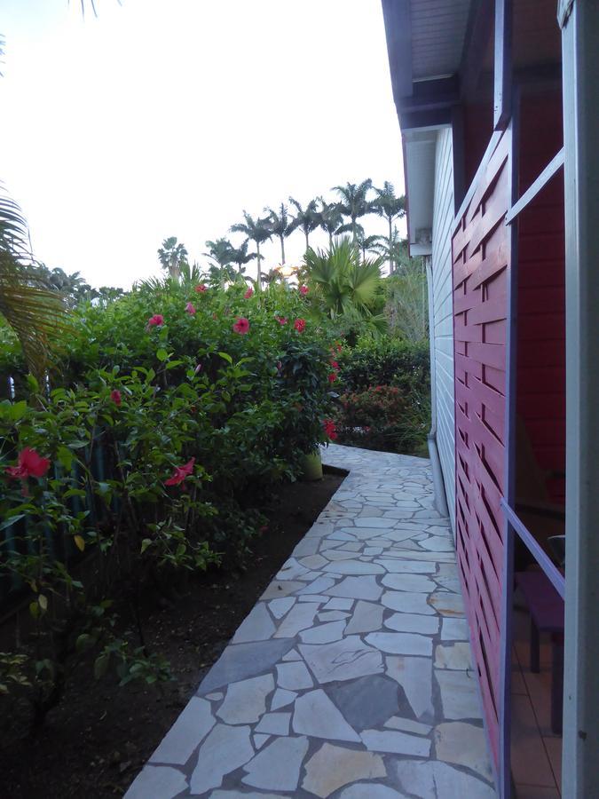 Coco Bungalows Sainte-Rose Extérieur photo